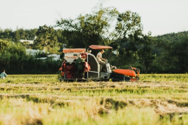 Paddy field tractor application using hydraulic cylinders