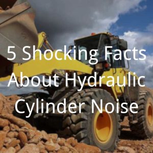 5 Shocking Facts About Hydraulic Cylinder Noise Topa