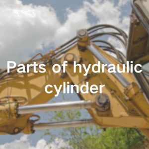 Parts of hydraulic cylinder Topa China