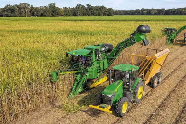 Sugarcane Harvester