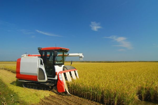 rice harvester